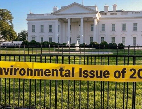 The change in administration will be “the” environmental issue of 2025