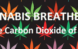 Cannabis environmental | stuart d. Kaplow, p. A.