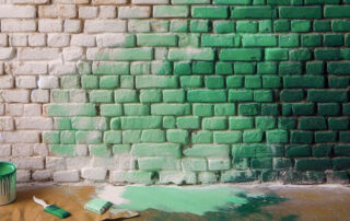 Greenwashing 41 1 | stuart d. Kaplow, p. A.