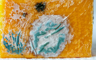 Mold 21 | stuart d. Kaplow, p. A.