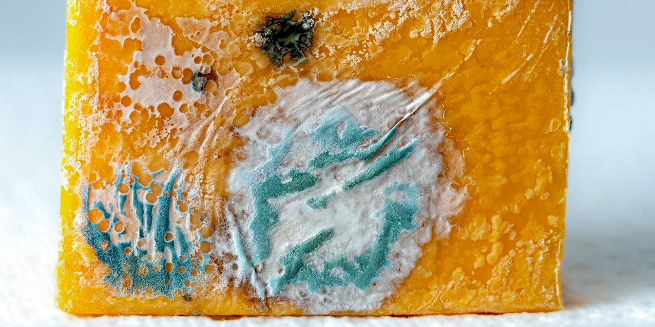 Mold Mold 21 | stuart d. Kaplow, p. A.