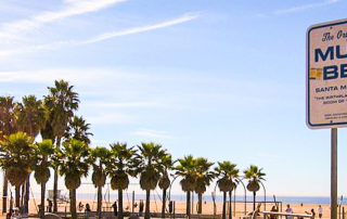 Muscle beach e | stuart d. Kaplow, p. A.