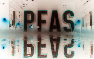 Pfas 31 | stuart d. Kaplow, p. A.