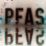 Pfas 31 | stuart d. Kaplow, p. A.