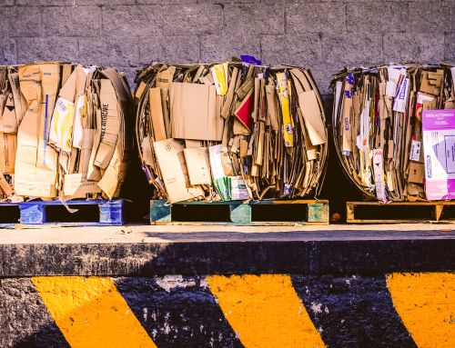Maryland’s packaging epr program moves from law to reality