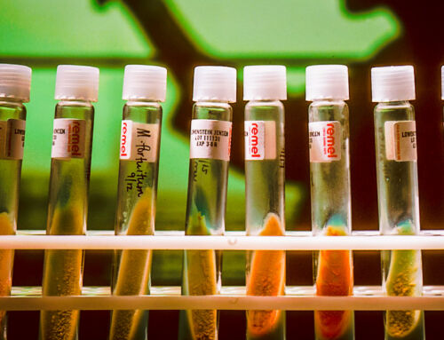 Epa will keep current limits for “forever chemicals” in drinking water