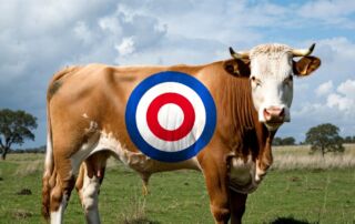 Cow 20 | stuart d. Kaplow, p. A.