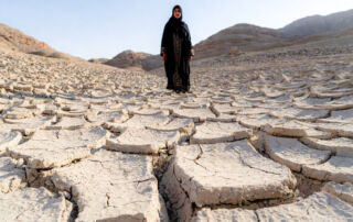 Drought 10 | stuart d. Kaplow, p. A.