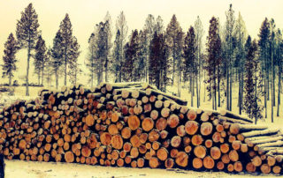 Forestry usda gov | stuart d. Kaplow, p. A.