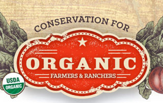 Organic cool | stuart d. Kaplow, p. A.