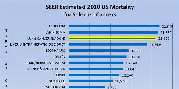 Seer 2010 us mortality edited | stuart d. Kaplow, p. A.